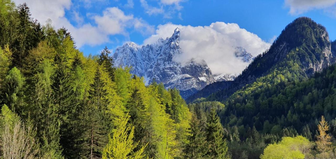 Apartment Alpska Astra Kranjska Gora Esterno foto