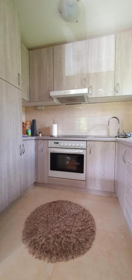 Apartment Alpska Astra Kranjska Gora Esterno foto