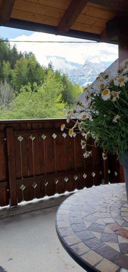 Apartment Alpska Astra Kranjska Gora Esterno foto